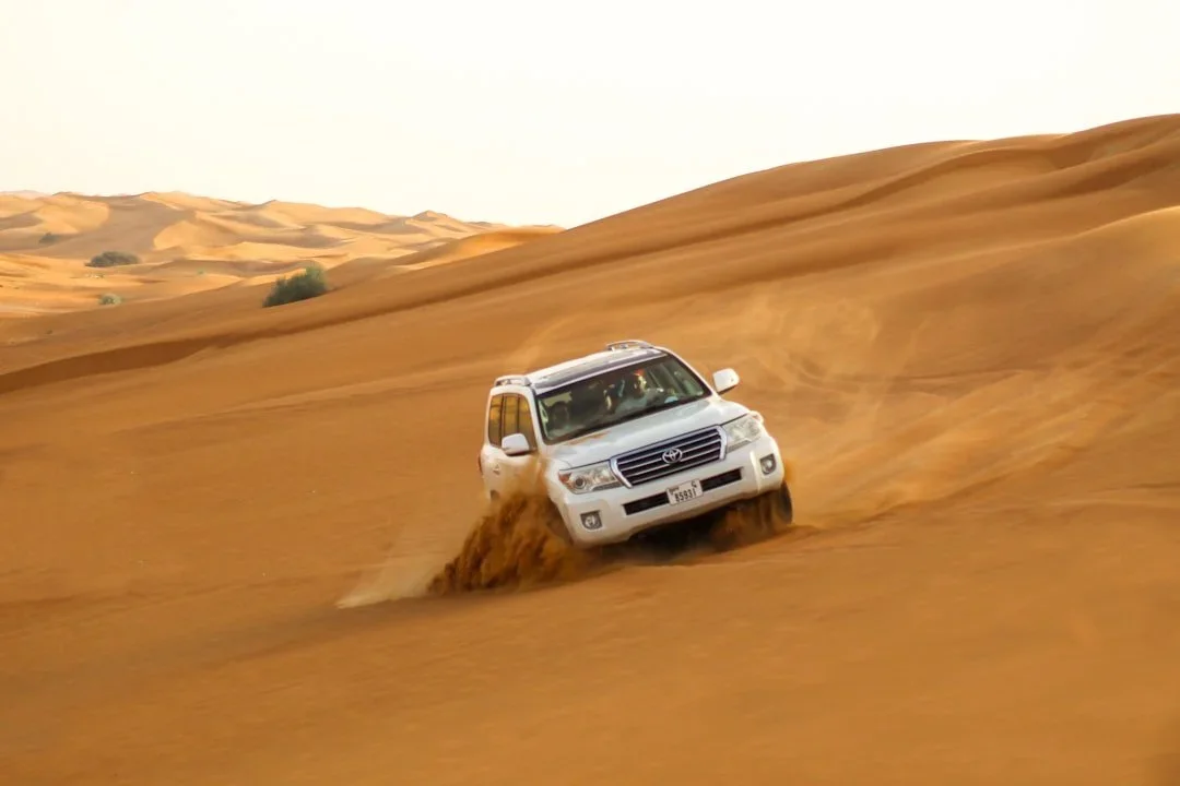Desert Safari and Dune Bashing