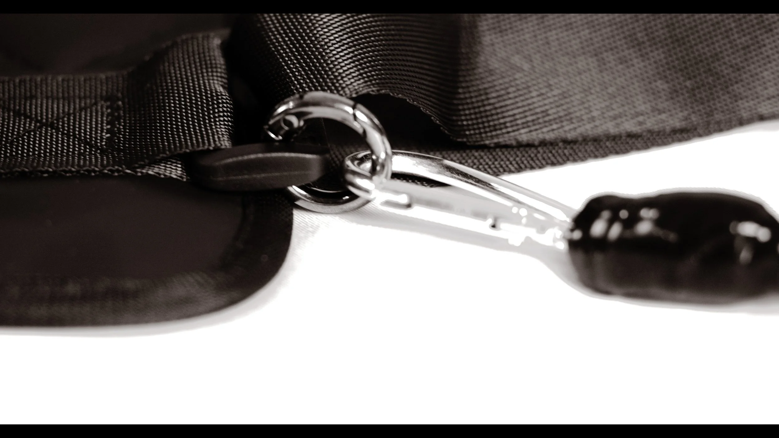 Interlocking Carabiner and ring.jpg