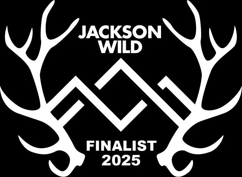 Black background with white graphic of deer antlers and geometric shapes, featuring text that reads "Jackson Wild Finalist 2025".