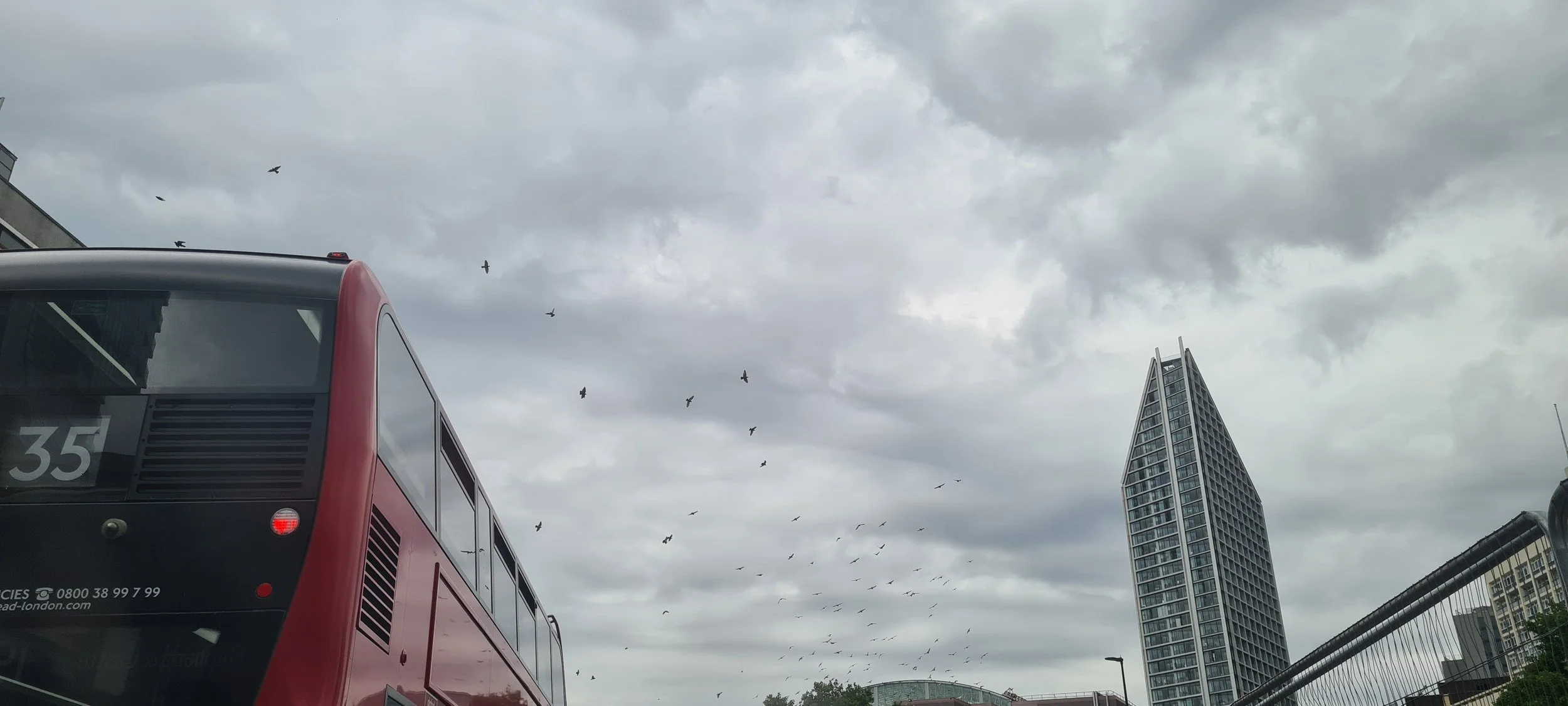 birds fly through a cloudy sky in london as a red bus drives through the corner of the frame