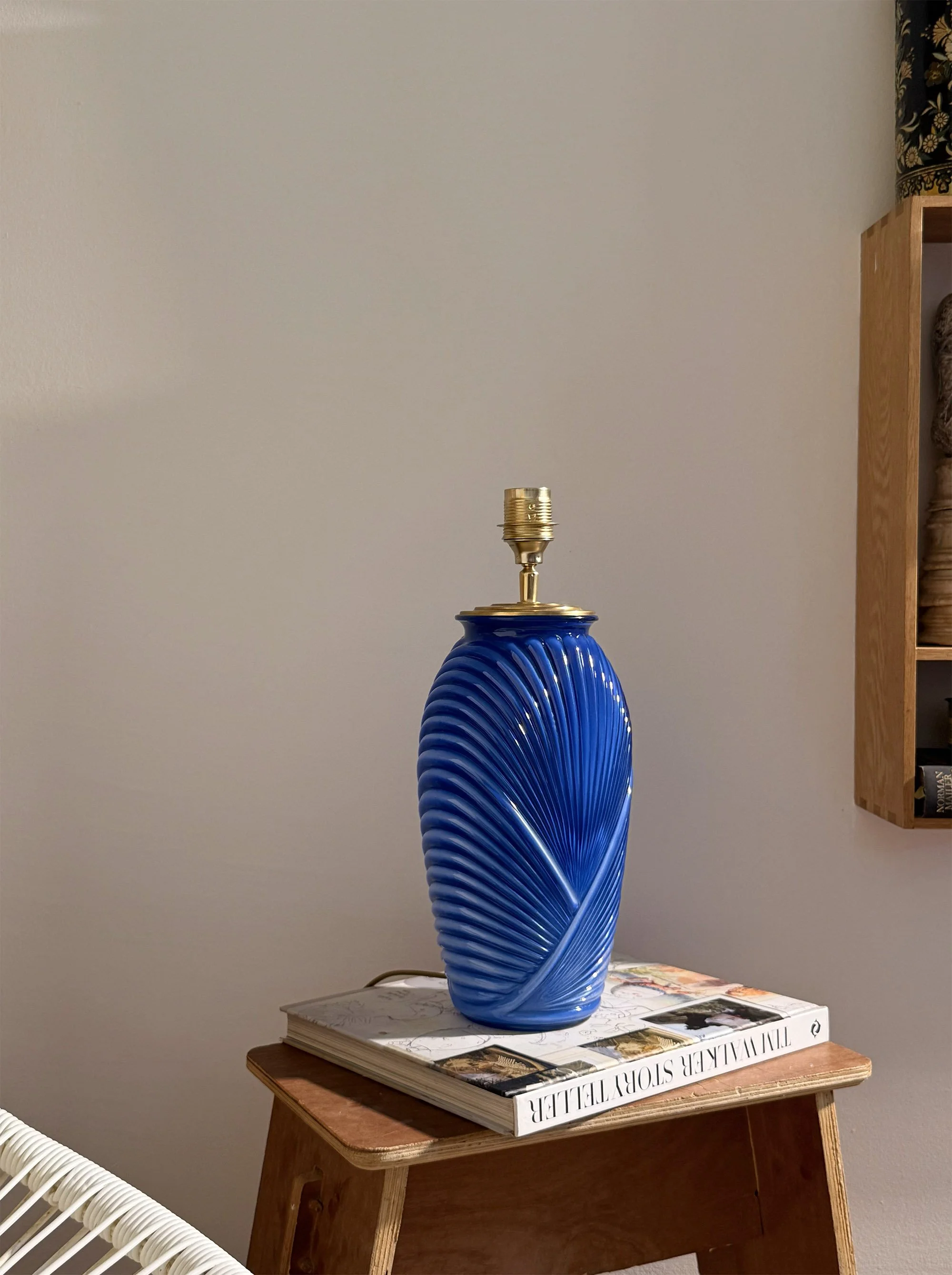 Coquillage Bleu