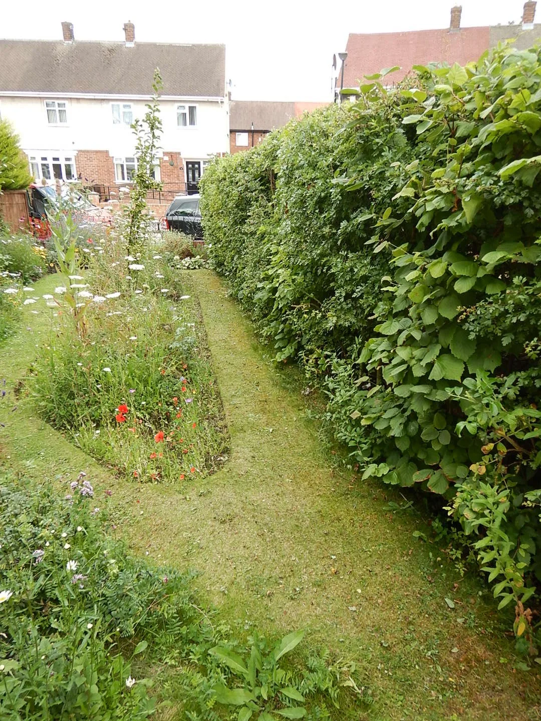 A narrow grass pathway bordered by a hedge on the right and a flower bed on the left, leading to parked cars and houses in the background.