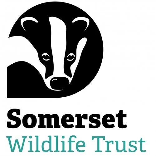 Logo of Somerset Wildlife Trust featuring a stylized badger head and text 'Somerset Wildlife Trust'.
