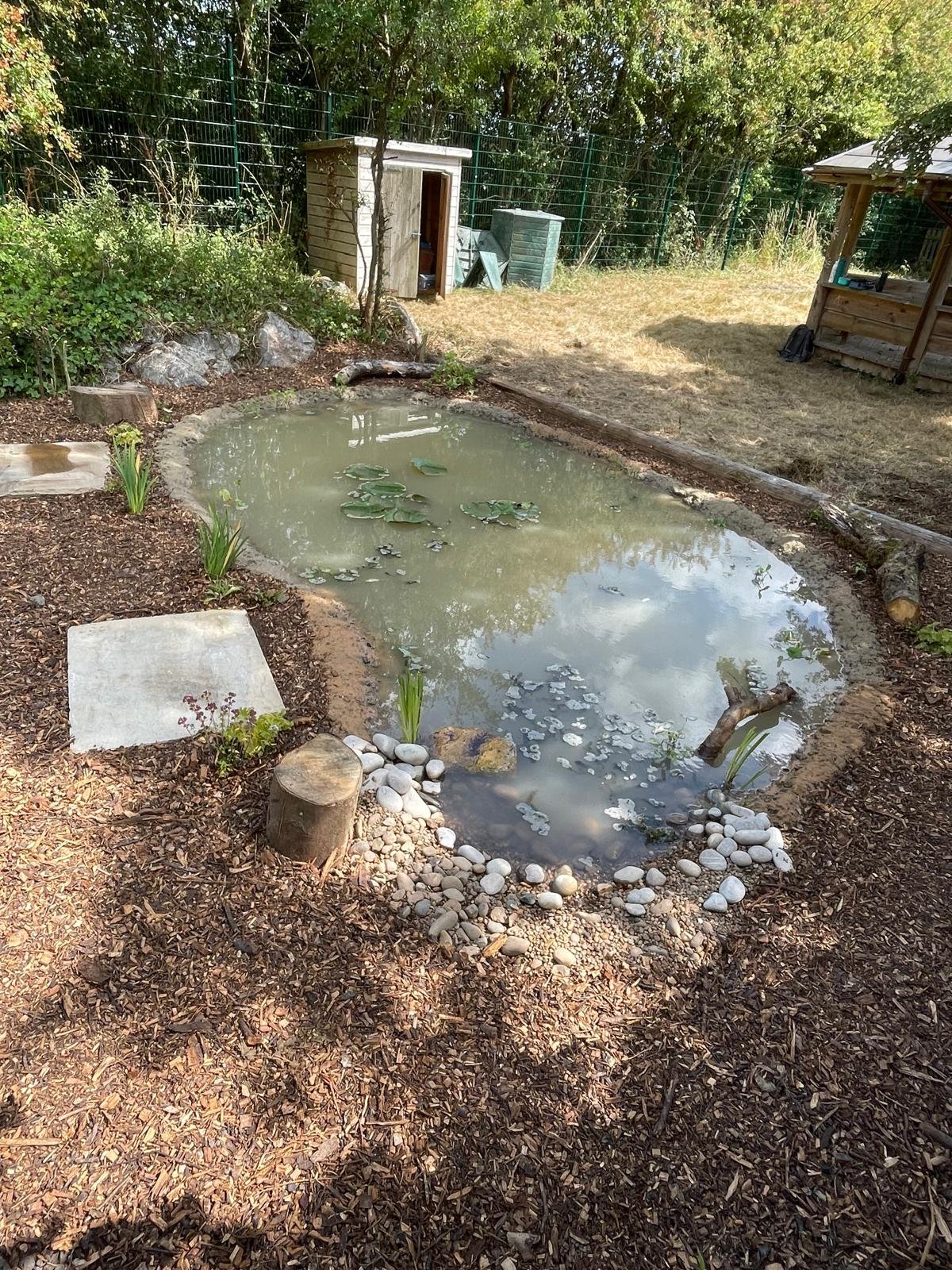 Small pond with lily pads and rocks in a garden with mulch, surrounded by plants and trees, with a shed and fence in the background.