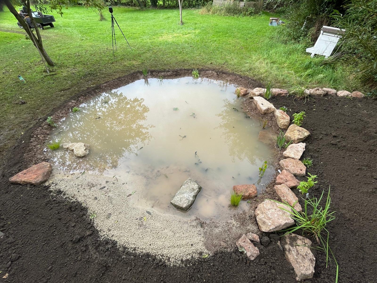 A small garden pond with rocks lining the edges, surrounded by soil and grass in a backyard.