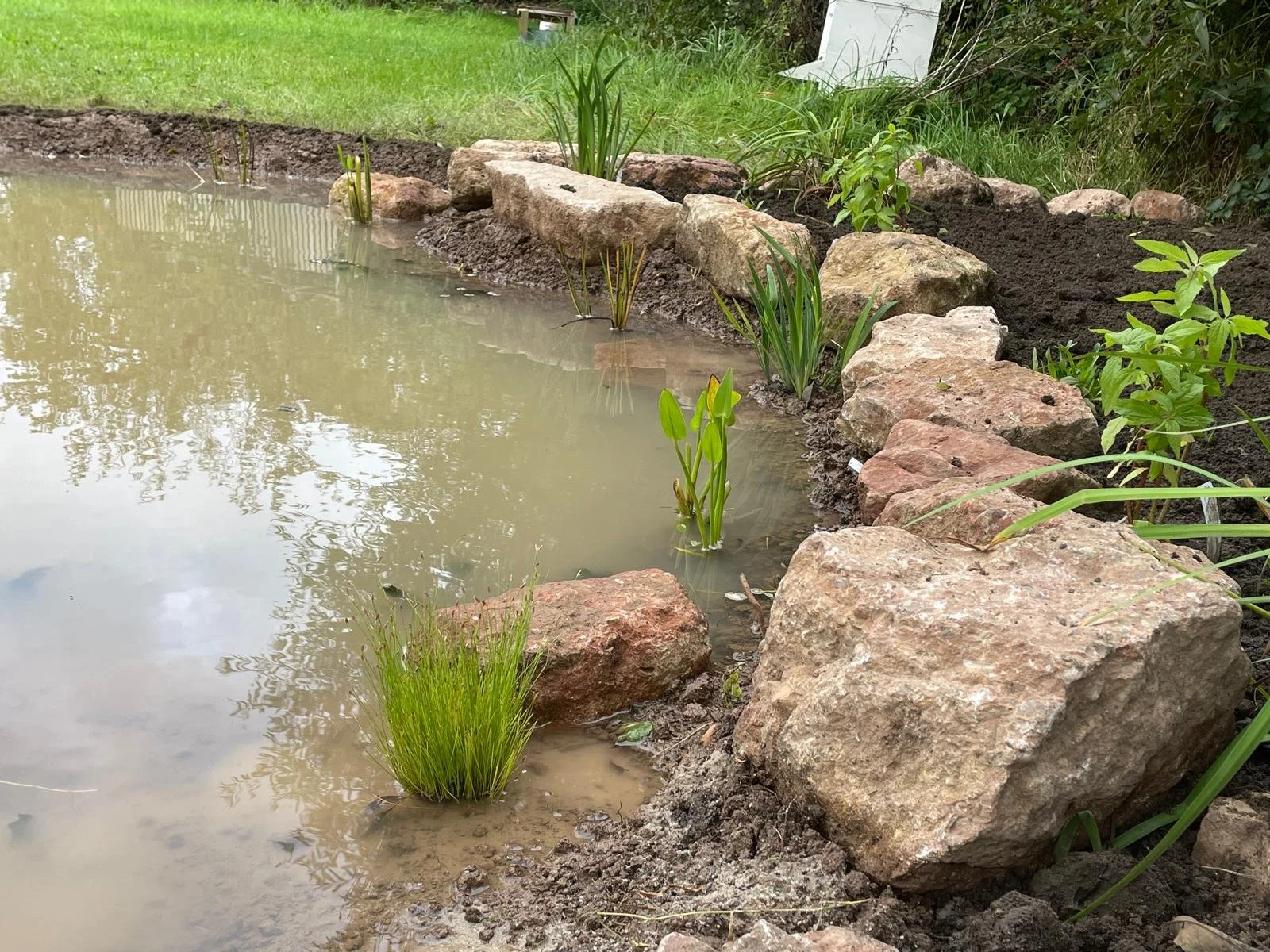 A pond with large rocks lining the edge, surrounded by green grass and plants, with murky water reflecting the sky and nearby trees.