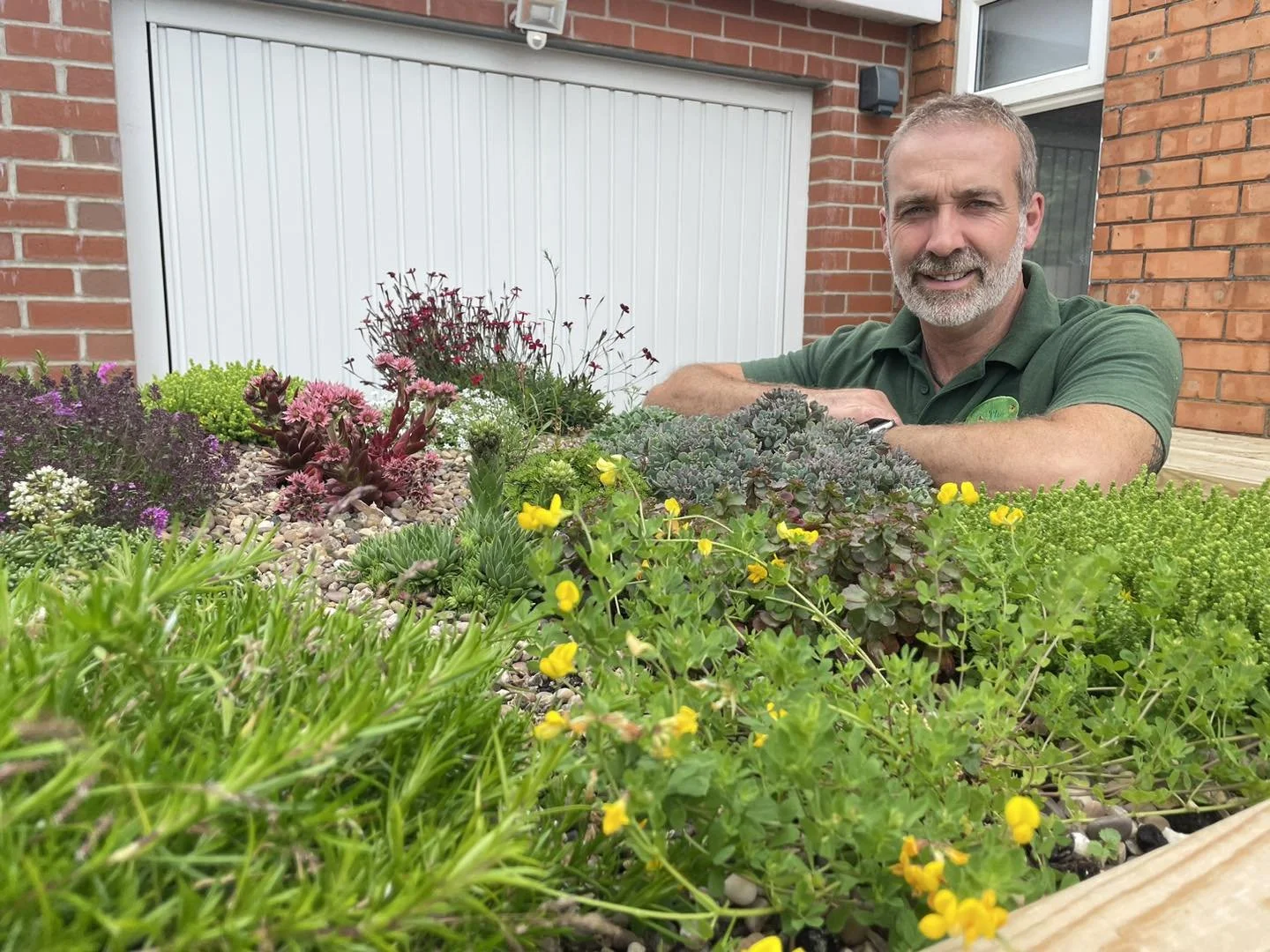 Tony Watt, The Nature Gardener, wearing a green polo shirt, leaning on a roof garden bed filled with various green and purple succulents and plants, outside a brick house with a white garage door.