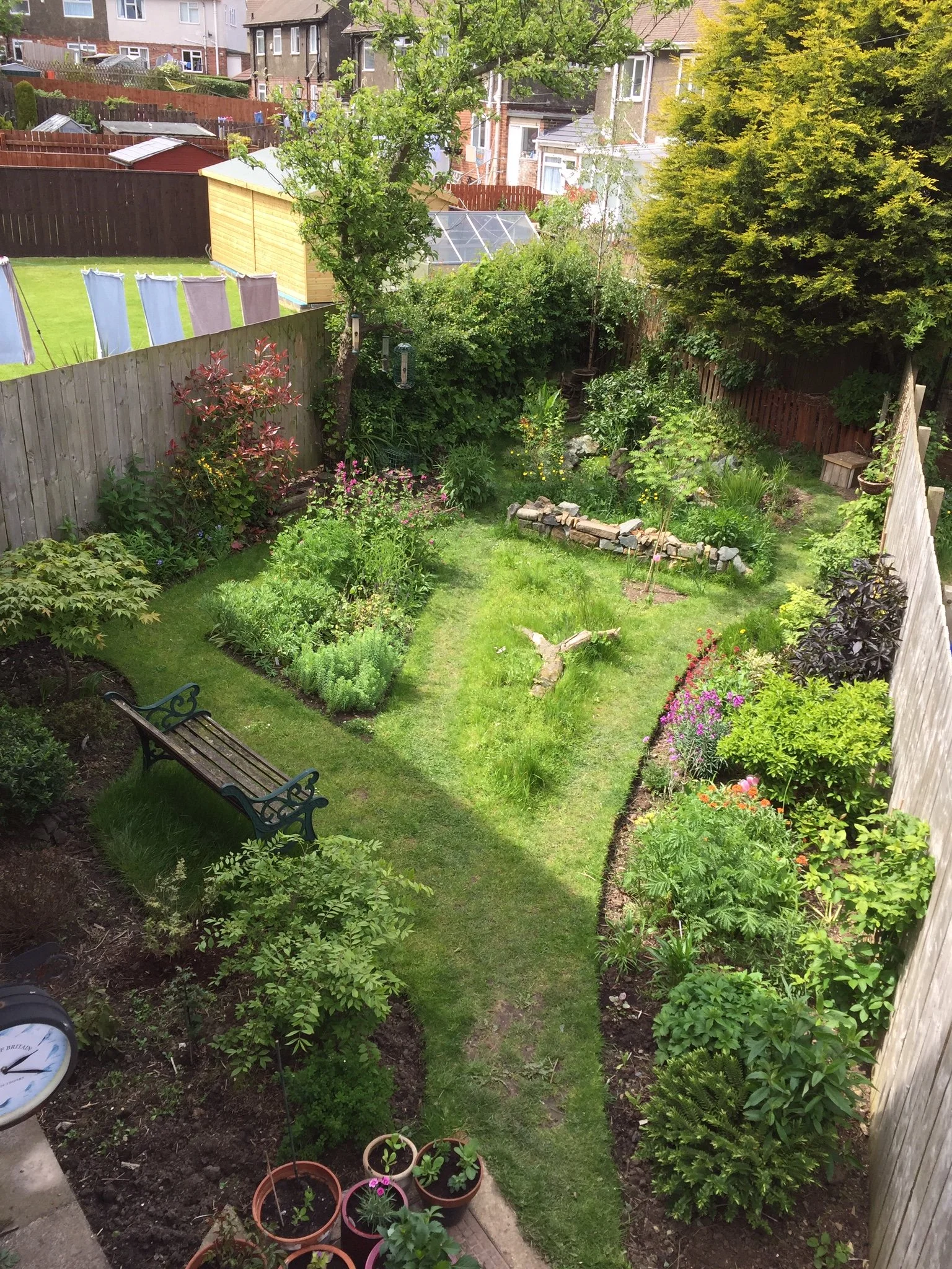 A backyard garden with a variety of plants, flowers, and trees. There is a small pond with rocks, a grassy patches, and potted plants along the pathway. Wooden fences enclose the space, and there are residential houses in the background. A bench is situated near the plants on the left side.