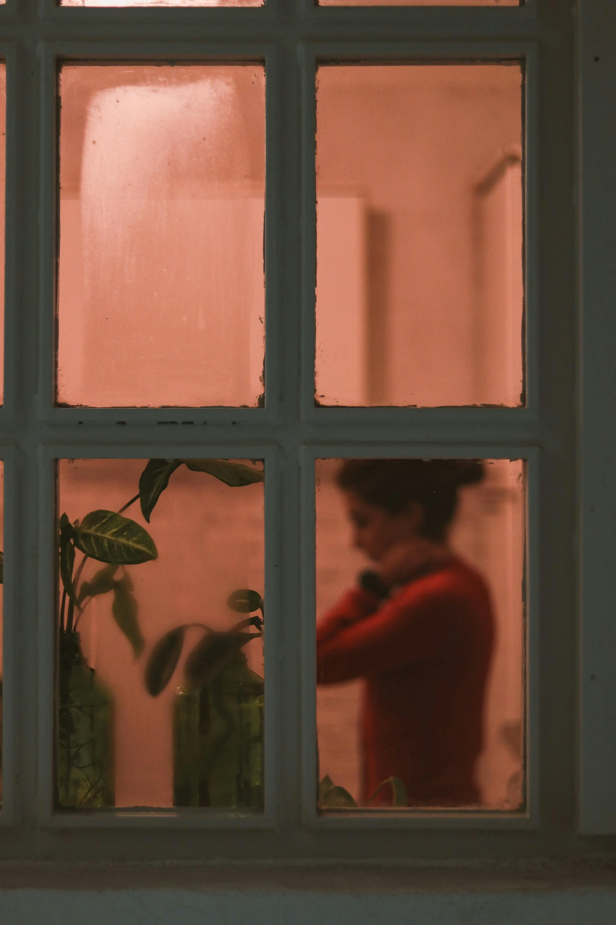 Une personne regardant par une fenêtre divisée en carrés, intérieur avec des plantes. La silhouette est floue avec un fond rose