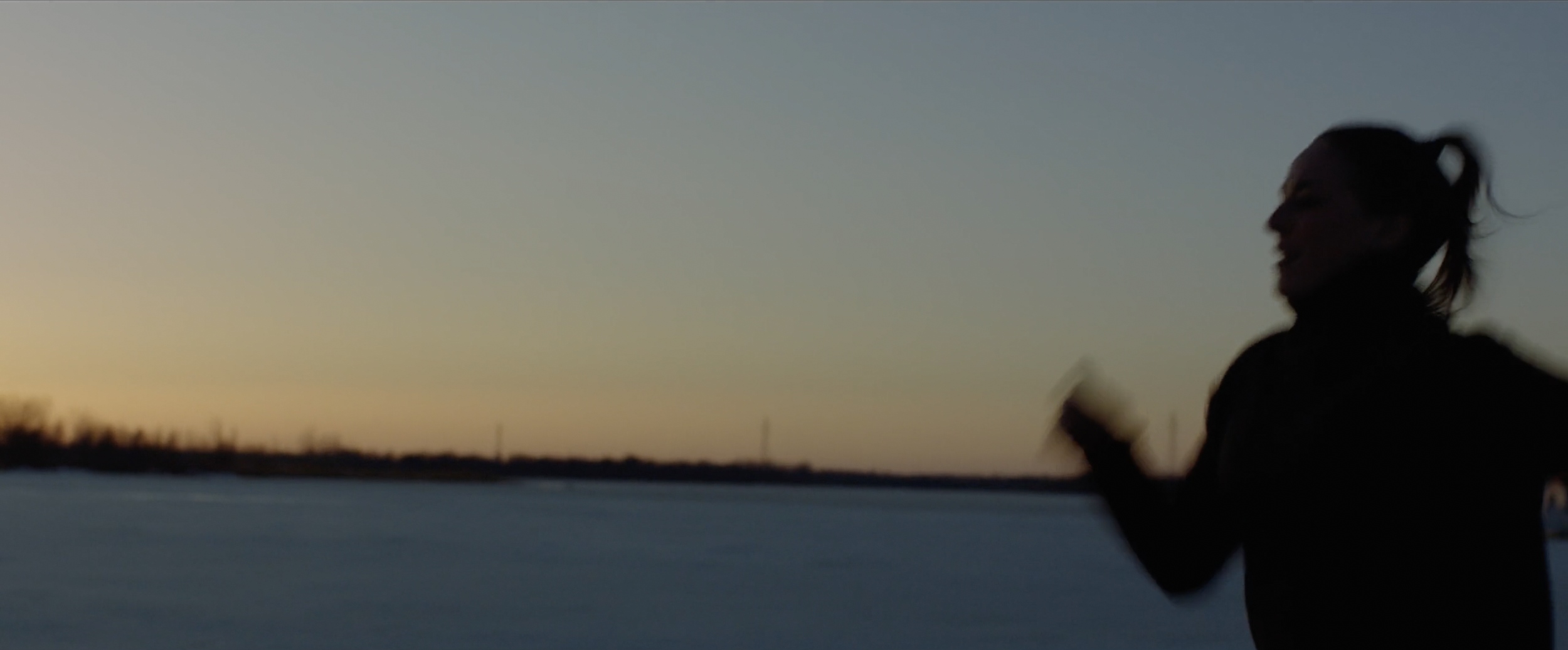 Silhouette of a person running against a sunset sky, with a body of water and distant horizon.