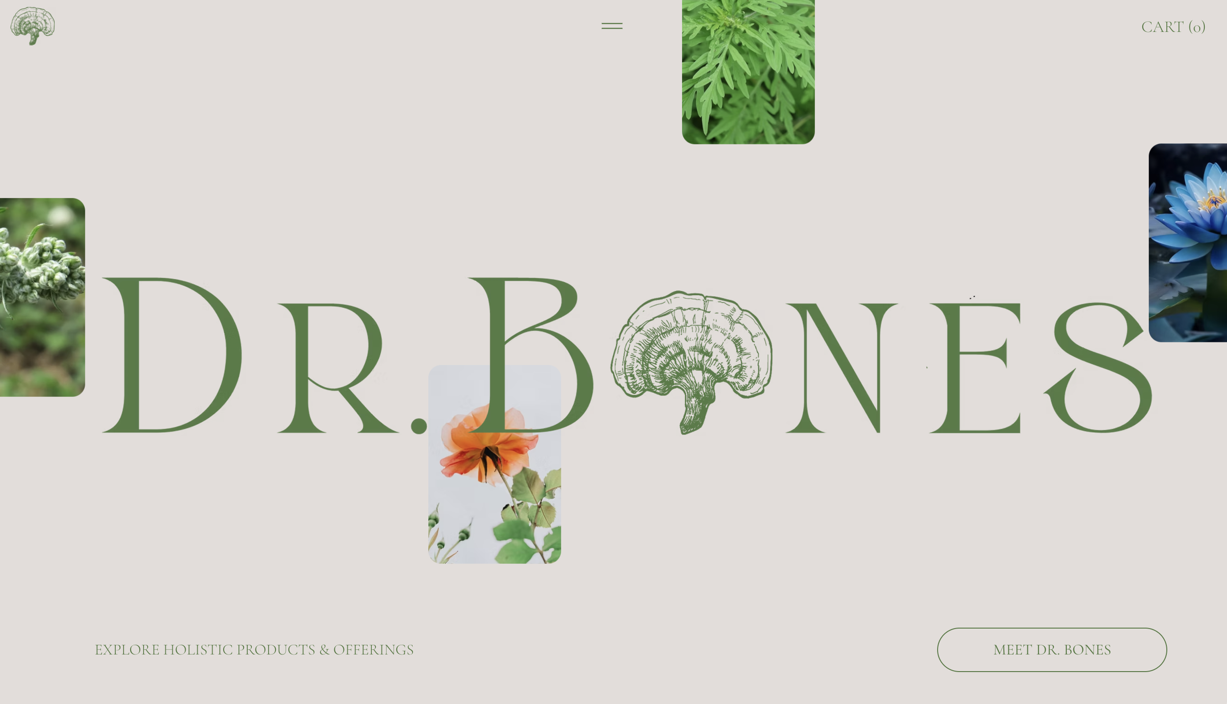 drbones-1.png