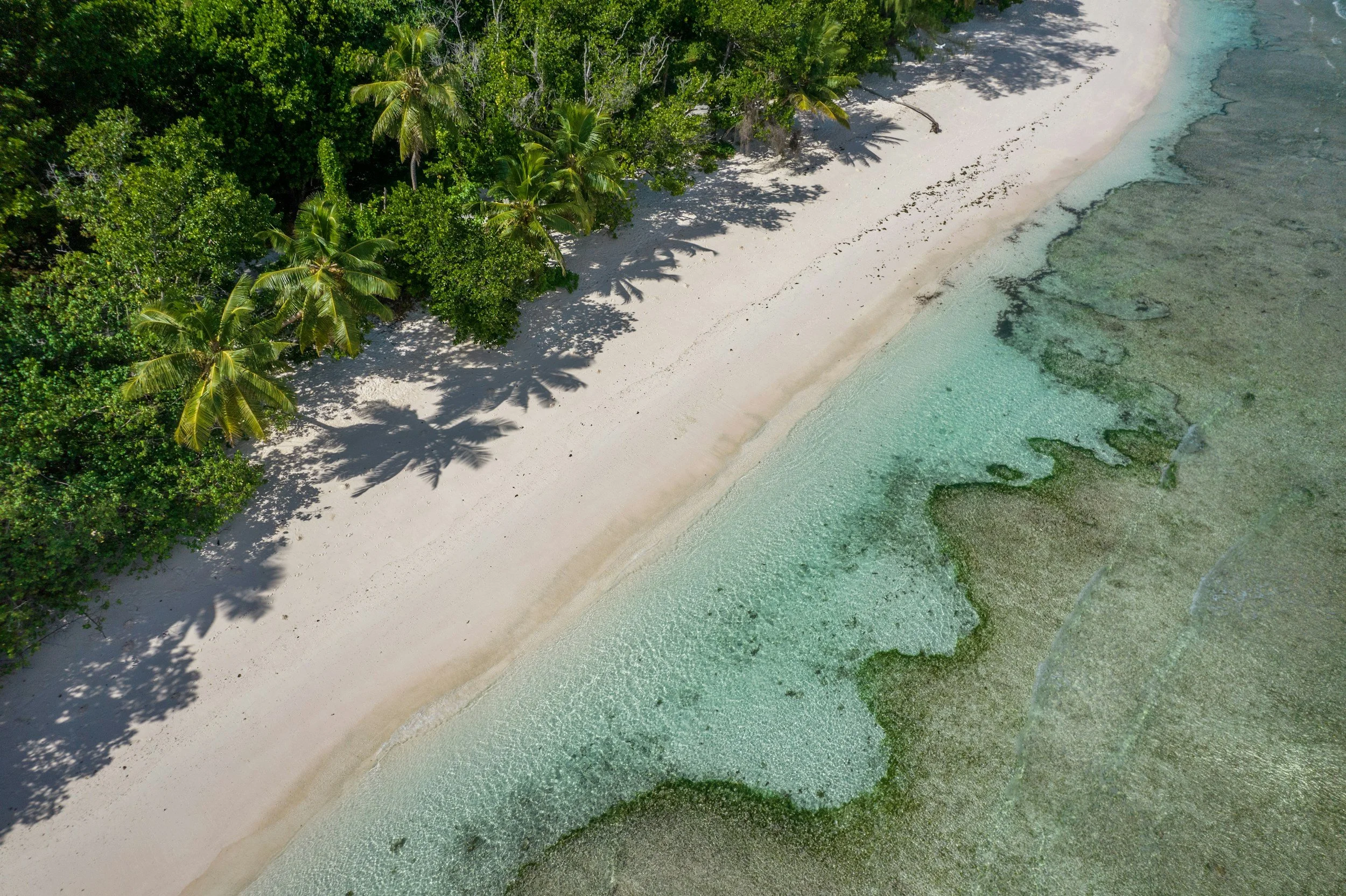 Aerial view of a tropical beach with white sand, lush green trees, and clear turquoise water.