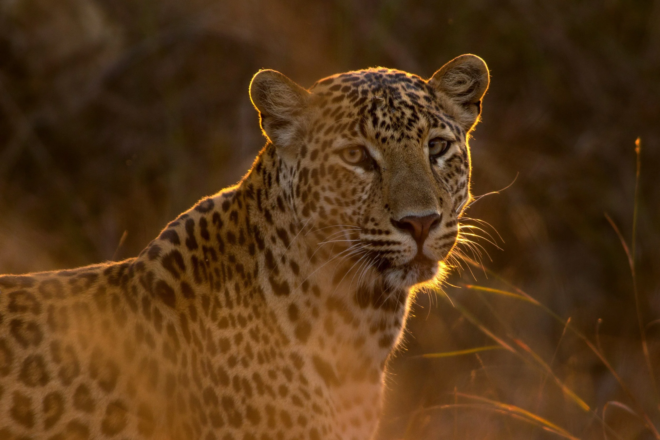 South Africa Itineraries