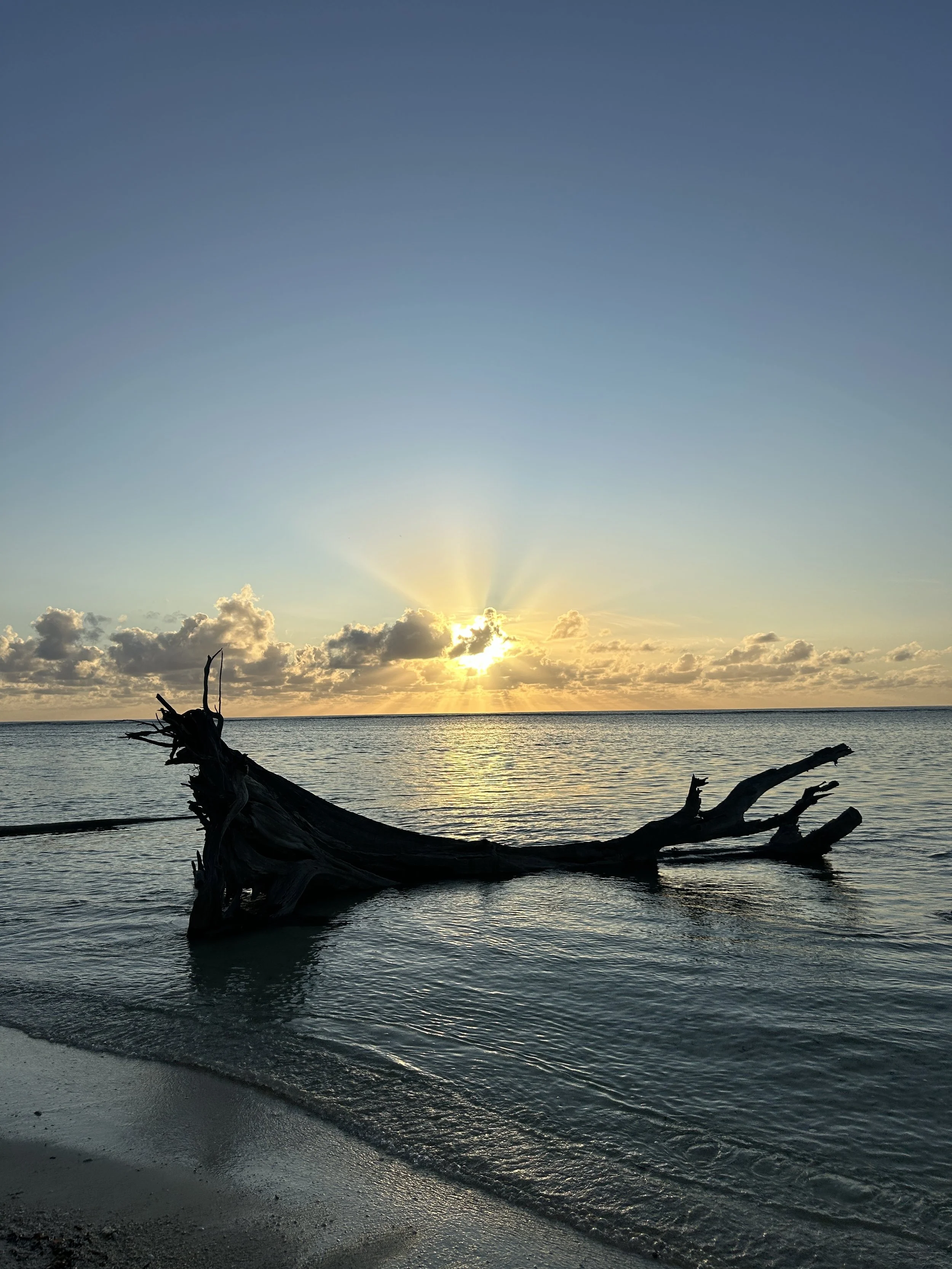 IMG_0235.JPG