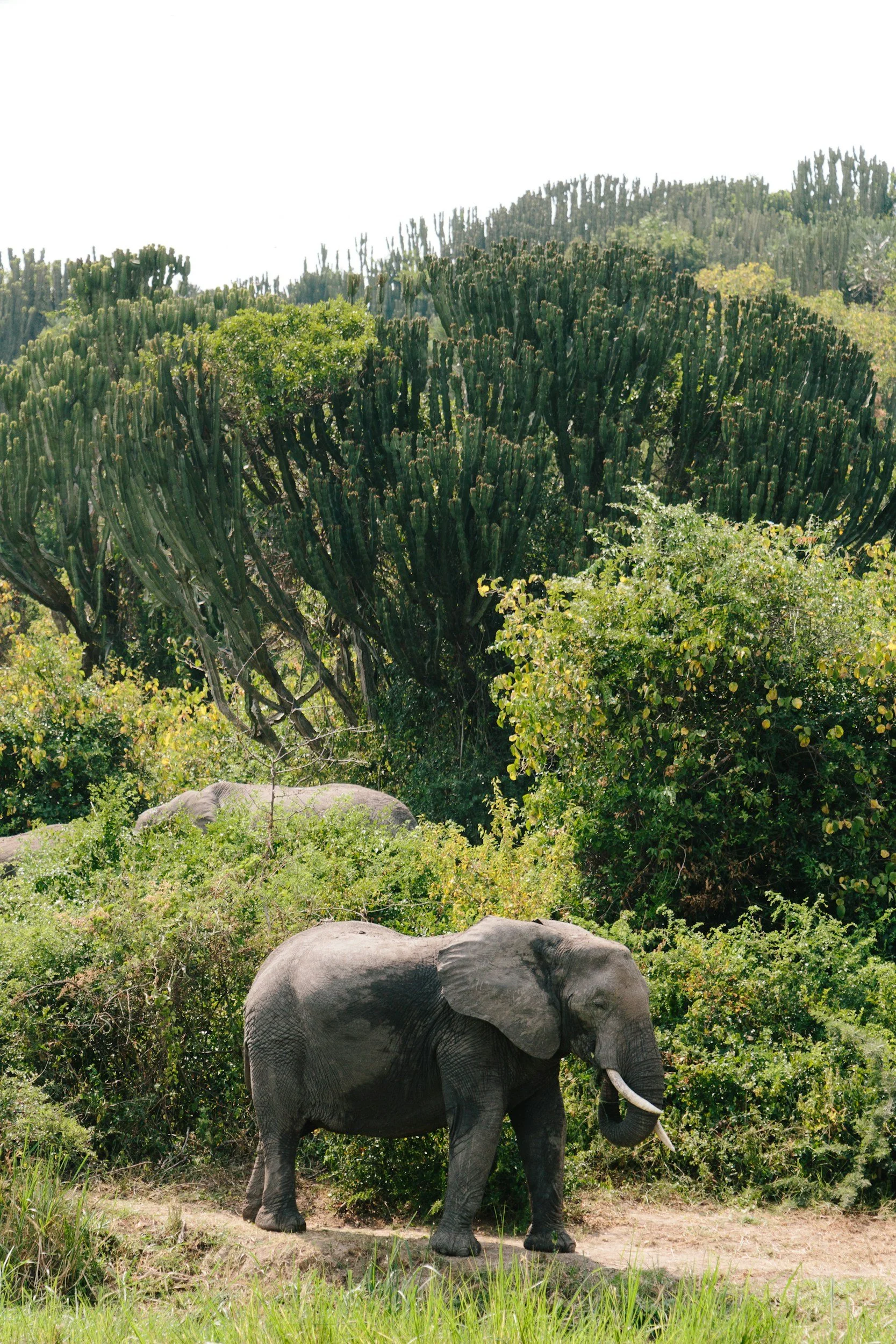 unsplash-image-yeRJiN2j-3c.jpg