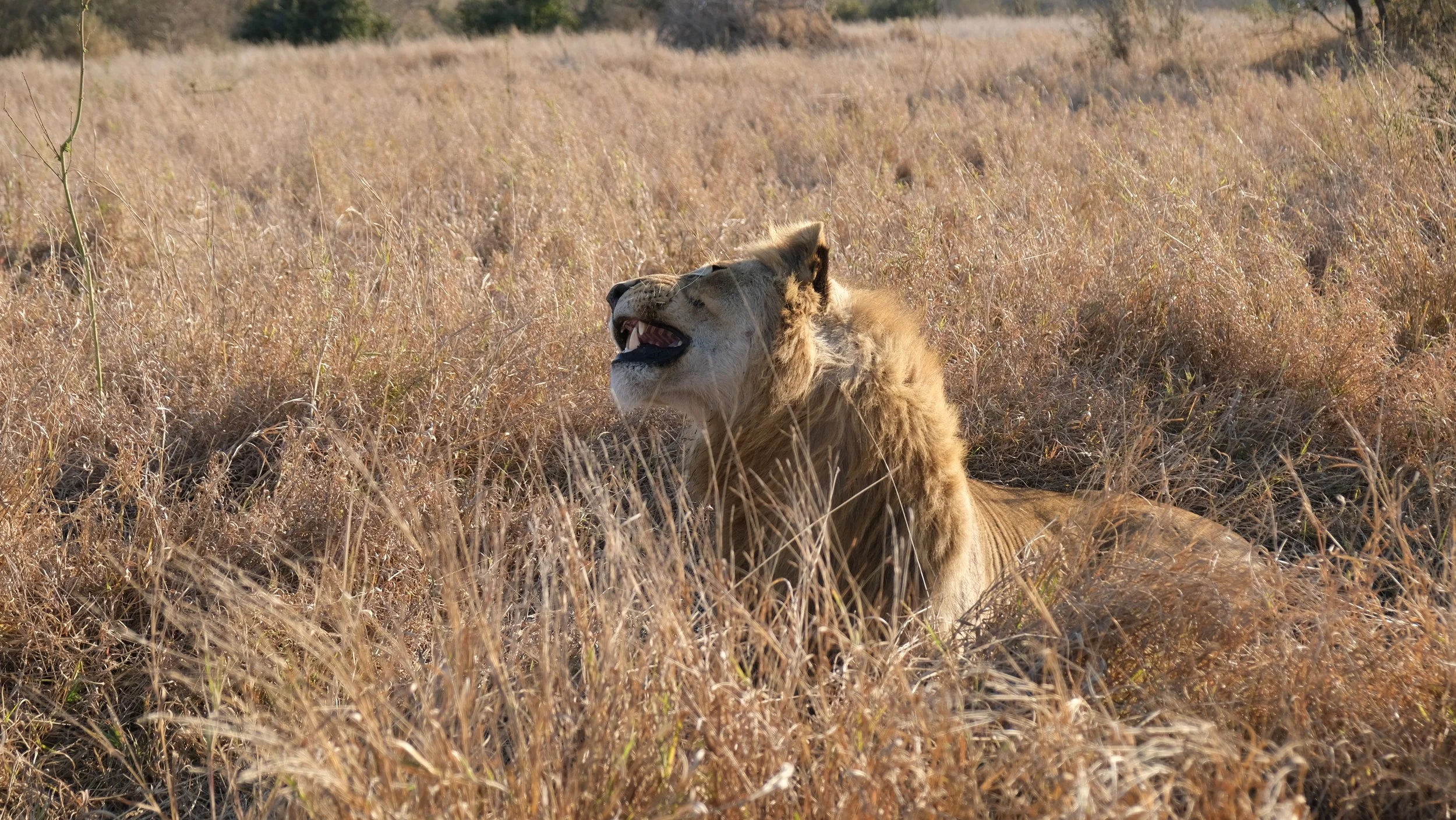 DSCF5782.JPG