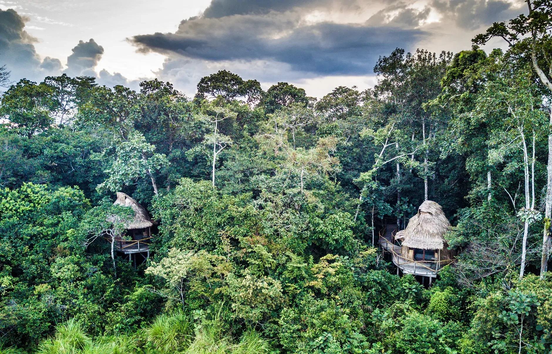 Lush tropical rainforest with two thatched-roof hut structures on stilts and a wooden bridge surrounded by dense greenery under cloudy sky.