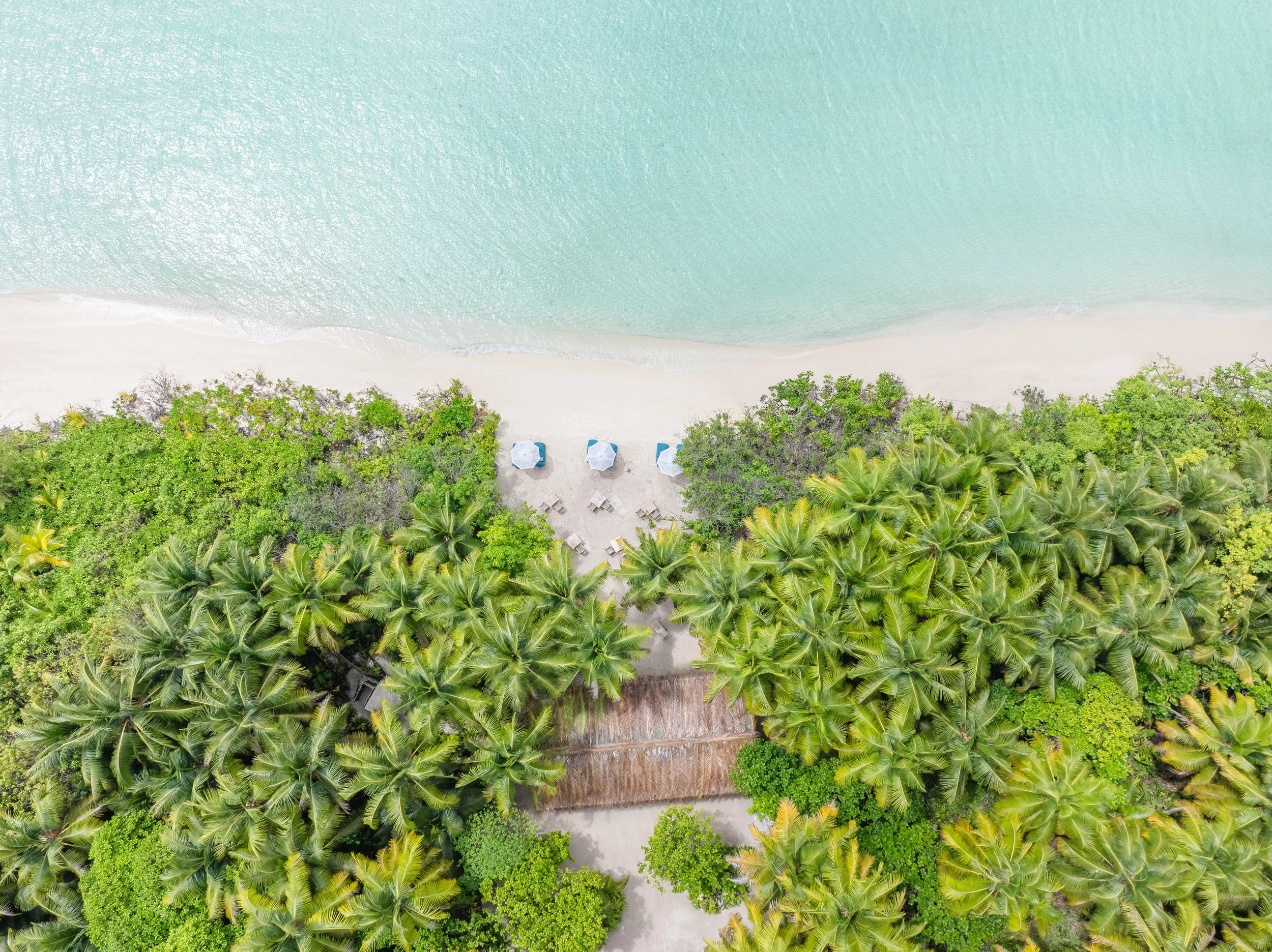 An aerial view of a beach with turquoise water, white sand, and lush green palm trees and vegetation, with a thatched-roof hut and beach chairs.