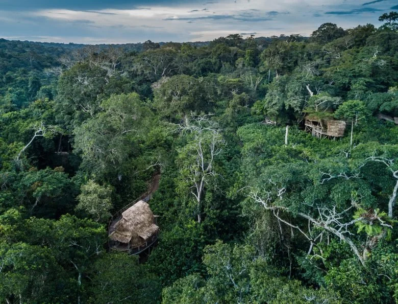 A dense tropical forest with two elevated thatched-roof huts among the trees, under a sky with scattered clouds.