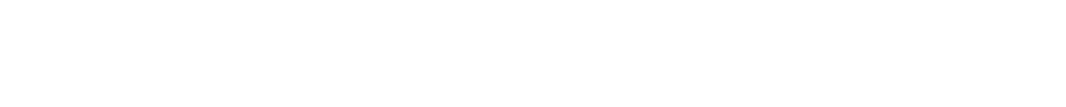 West Coast Cybersolutions (Copy)