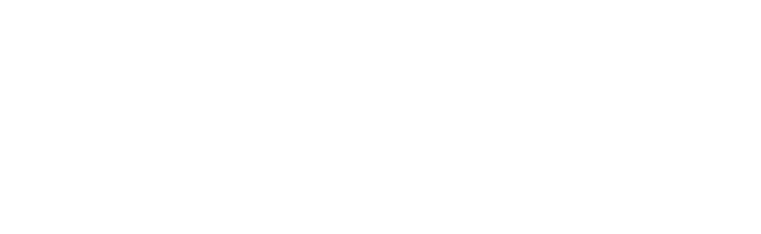 West Coast Cybersolutions (Copy)