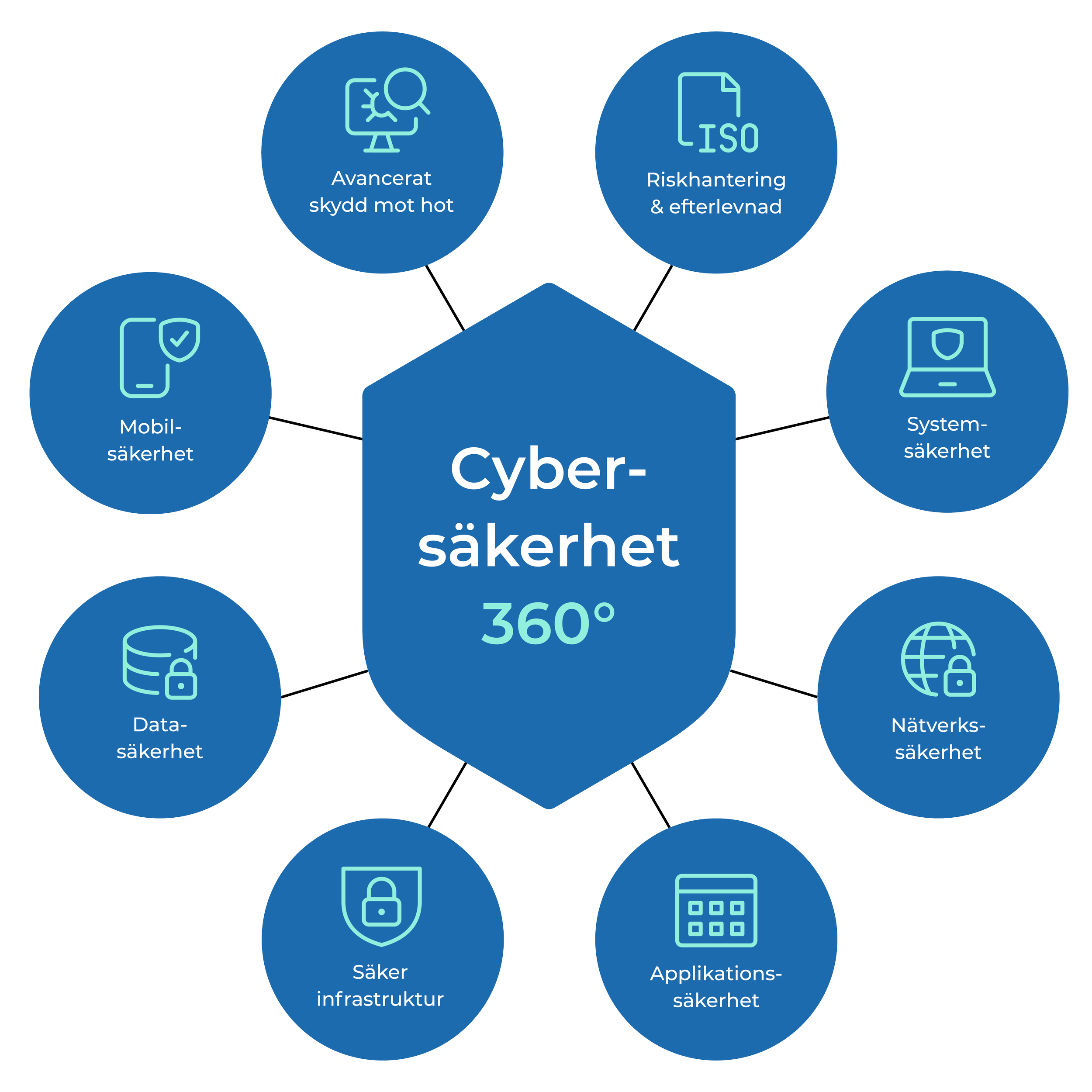 Visuell överblick av cybersäkerhetens olika delområden.