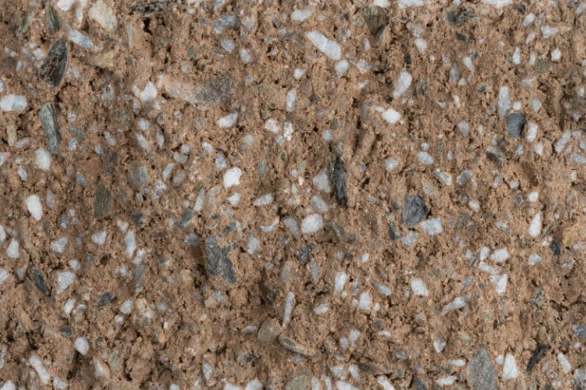 Close-up of dirt and small rocks with a few tiny insects.