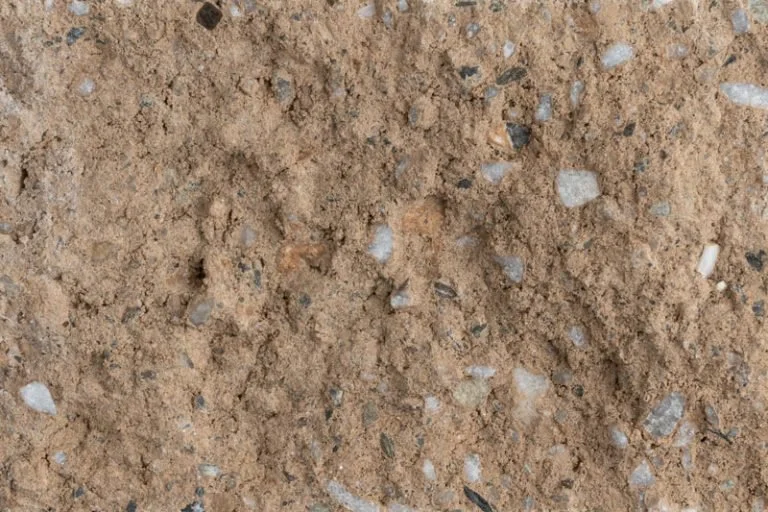Close-up of dirt and small rocks on the ground.