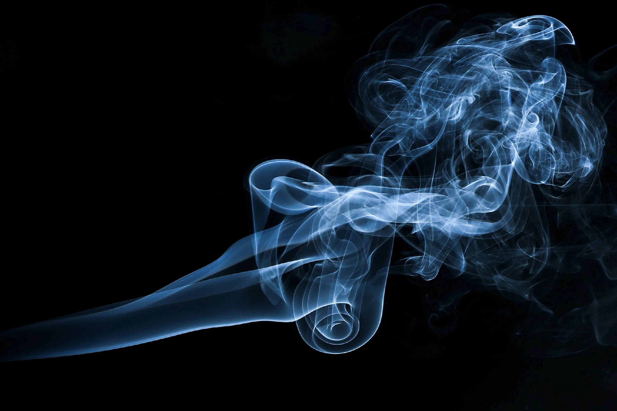 8W3A4627smokeArtWEB.jpg
