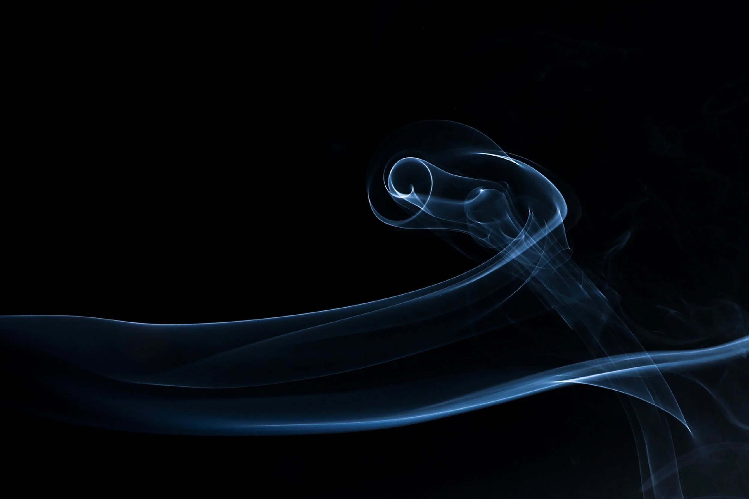 8W3A4631smokeArtWEB.jpg