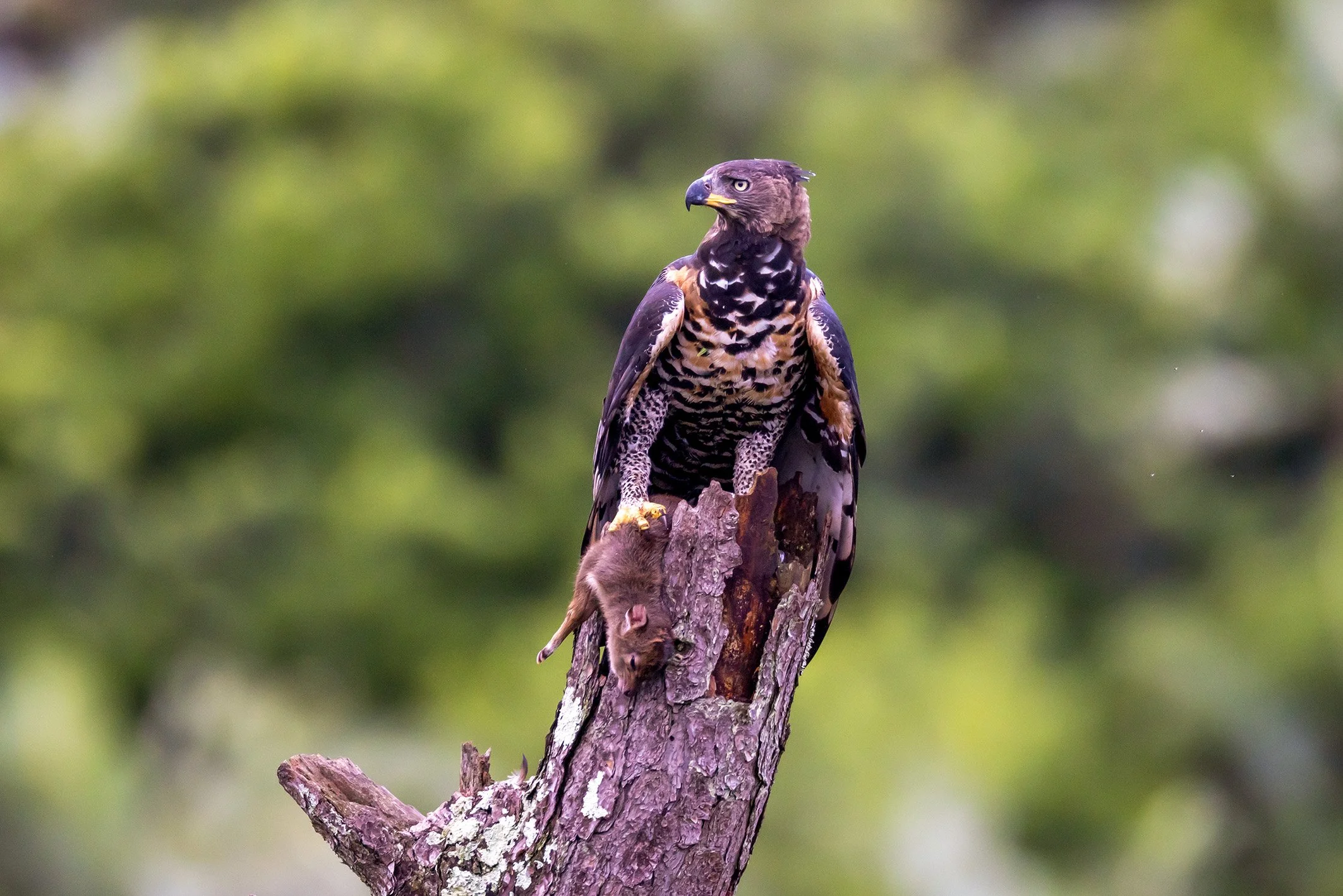 _P2A4604_1WEB.jpg