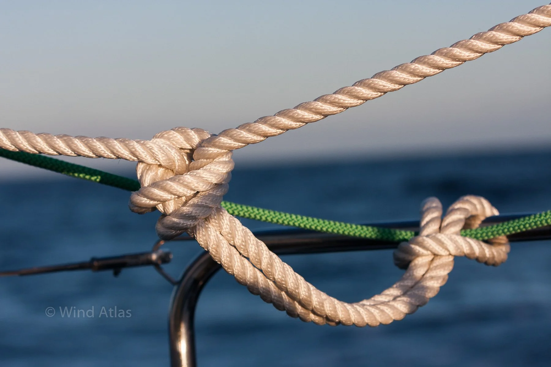 Knots_#1_web.jpg