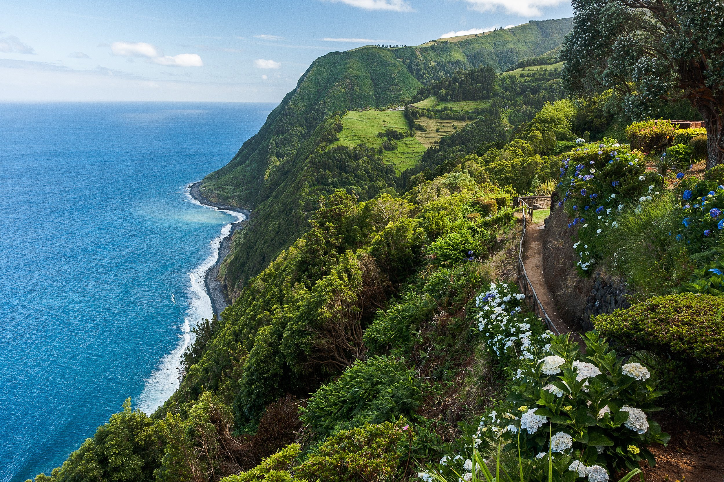 Lush green hillside with a narrow pathway and colorful flowers along the edge, overlooking the ocean and a coastline with cliffs and rolling hills under a partly cloudy sky.