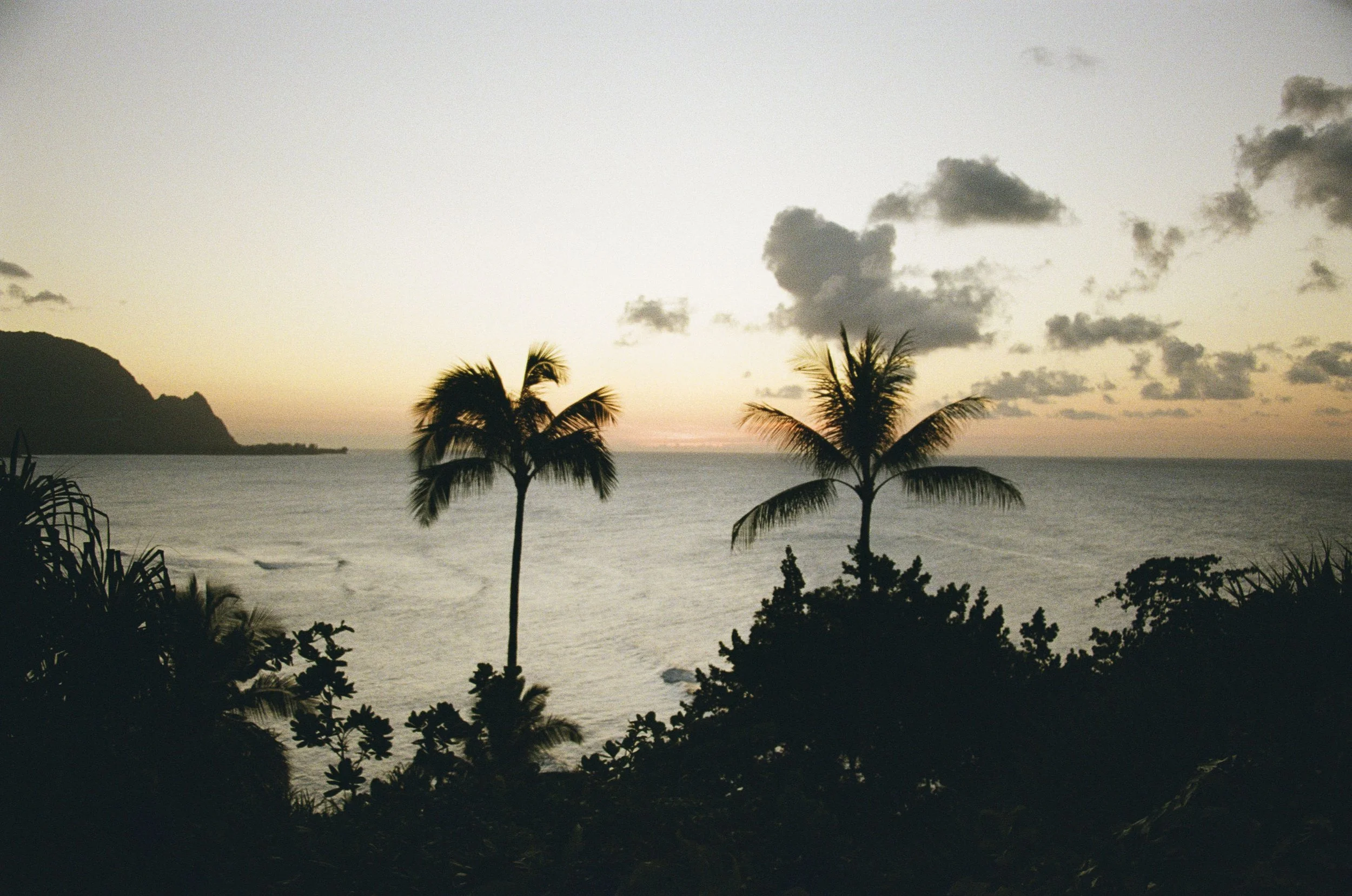 Sunset over the ocean with palm trees in the foreground and cloud formations in the sky.