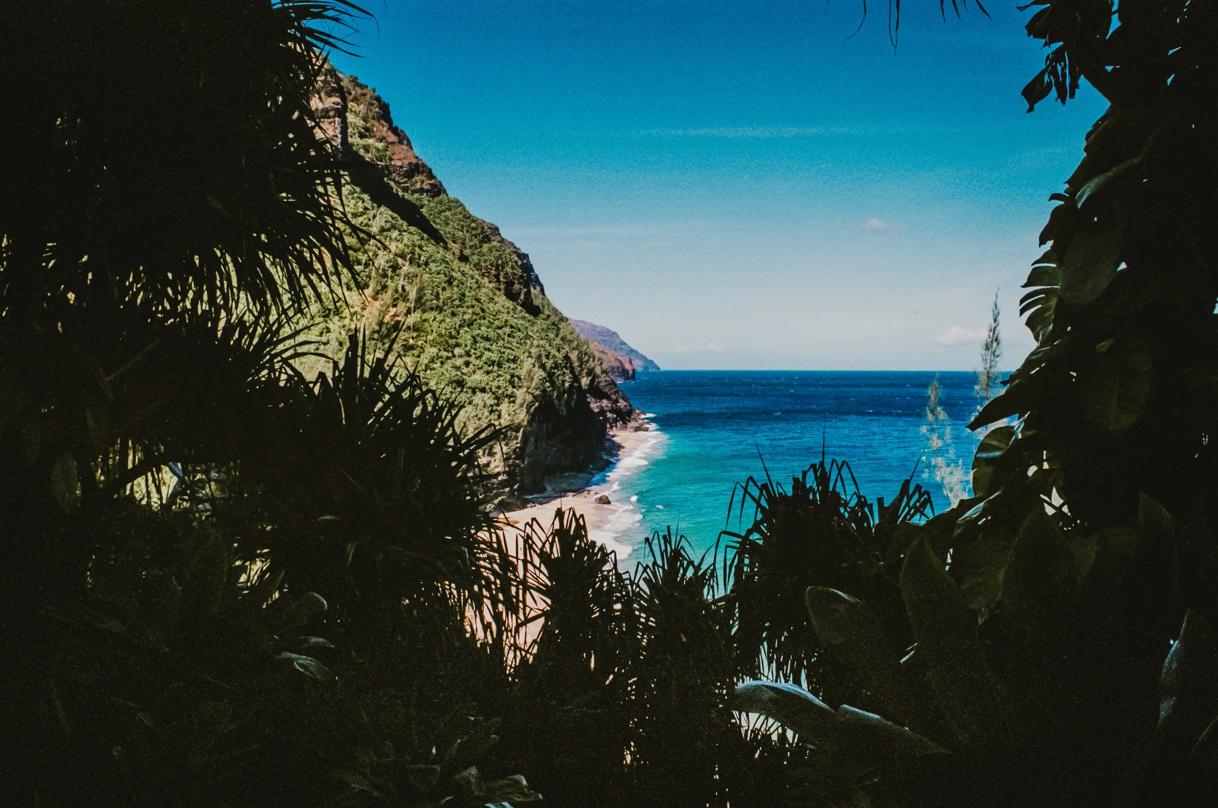 A scenic view of the ocean framed by lush green tropical foliage, with a rocky cliff on the left side and a clear blue sky above.