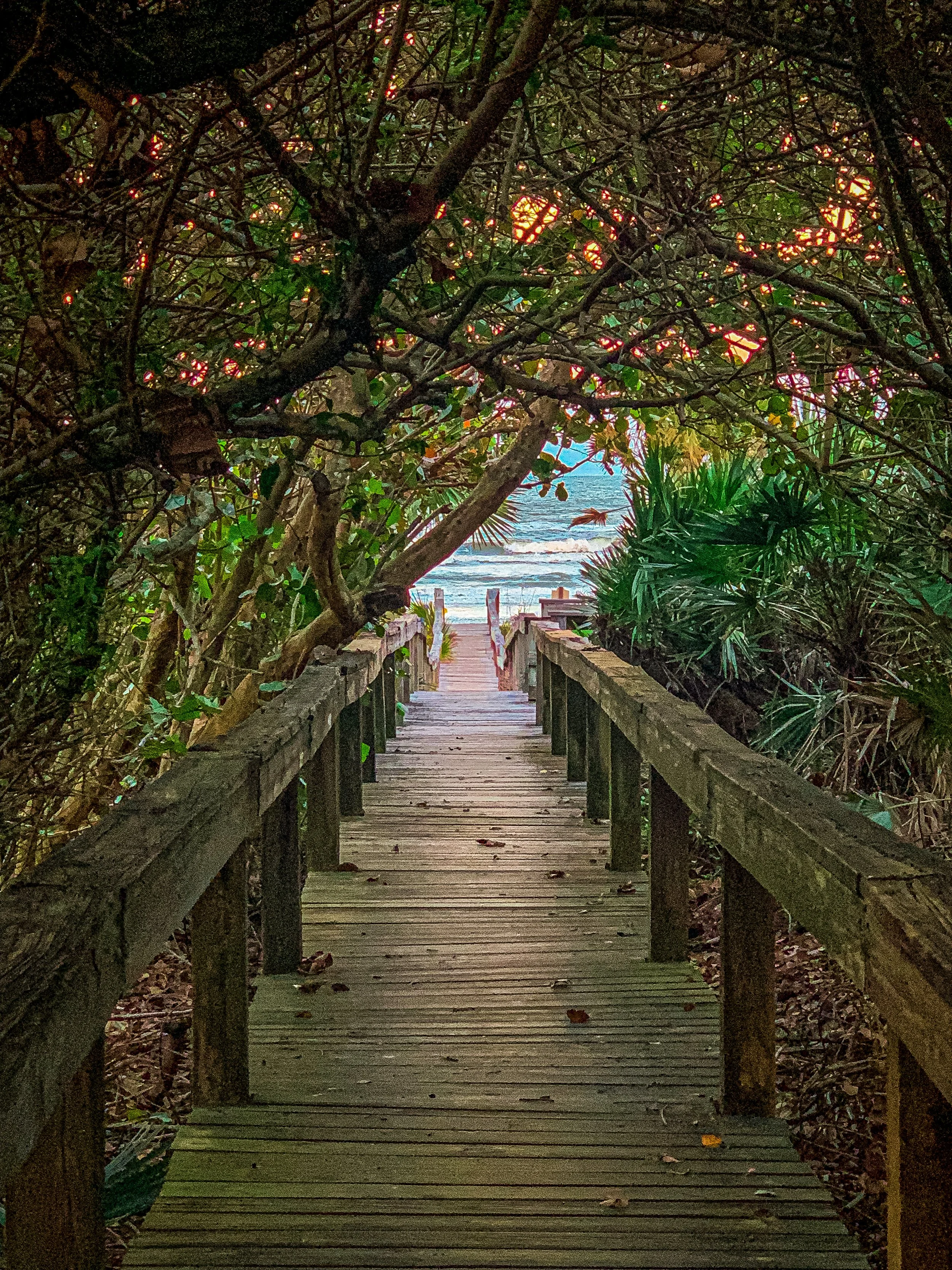A wooden walkway surrounded by dense foliage leading towards the beach, with the ocean visible in the background through a small opening in the trees.