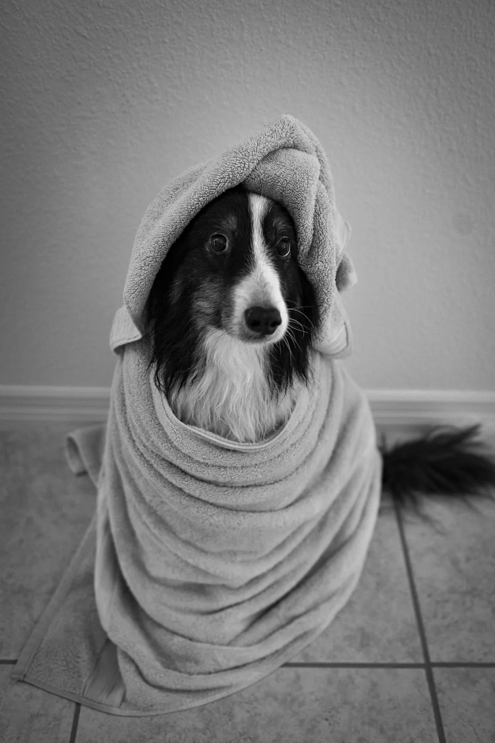 A dog wrapped in a towel like a cloak with a towel hood on its head, sitting on a tiled floor against a plain wall.