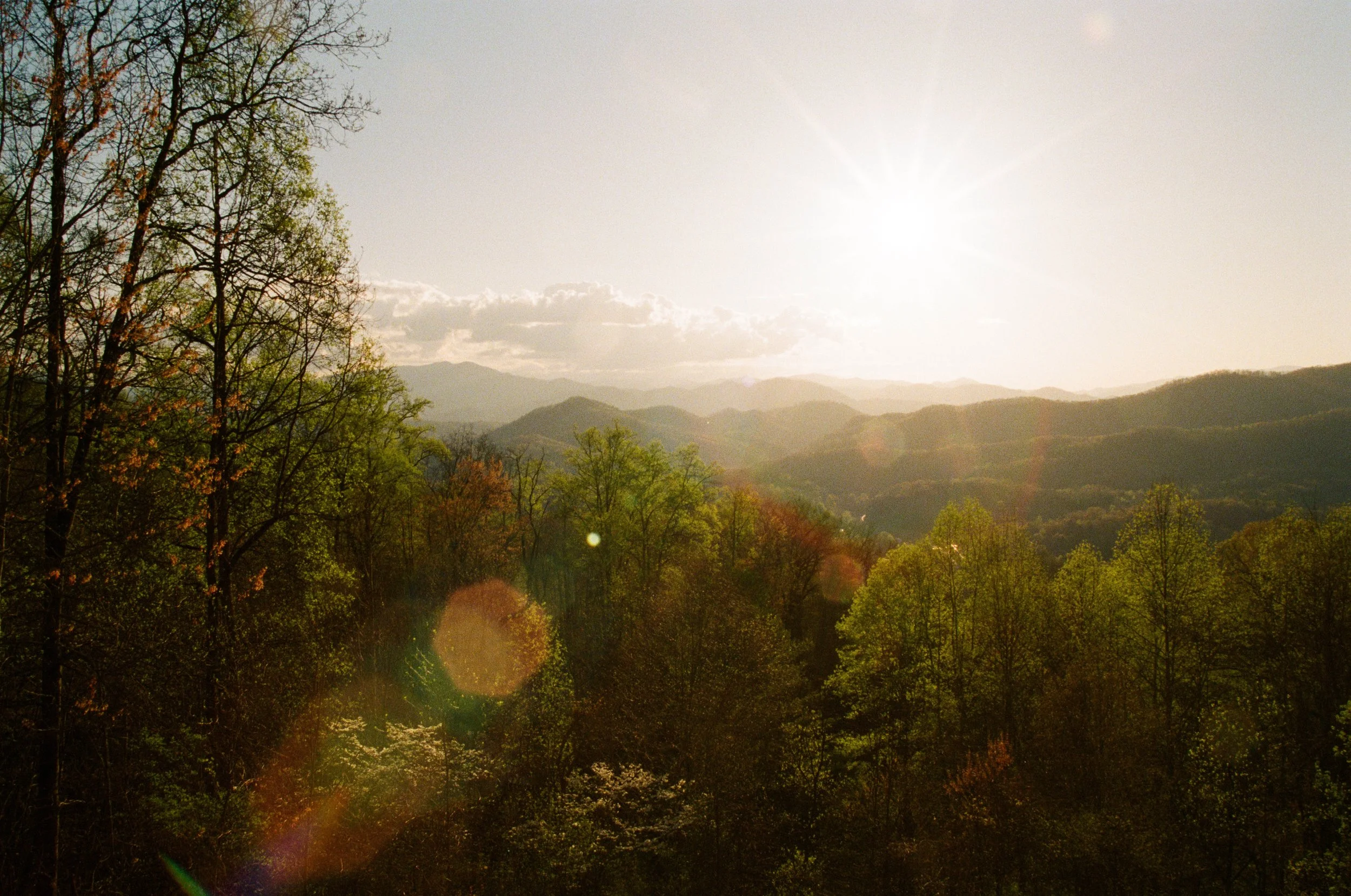 Sunset over a forest with mountains in the background and lens flare.