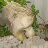 image004.png