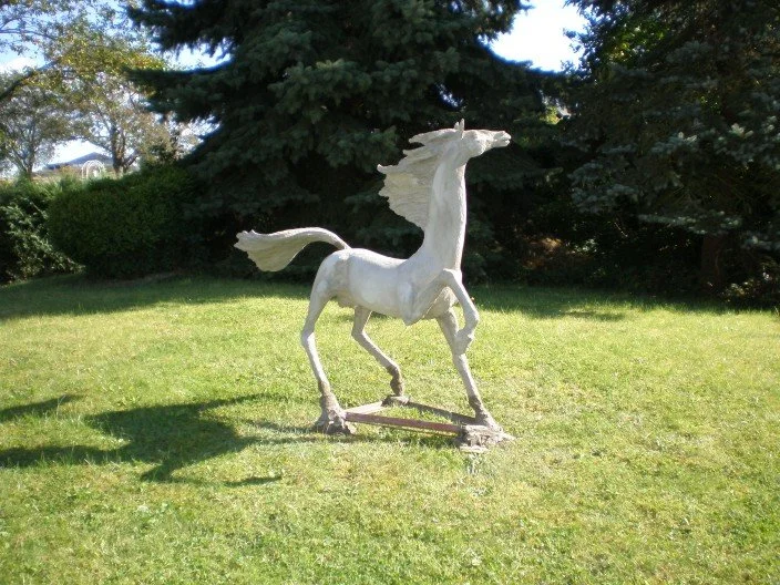 pferd4.jpg