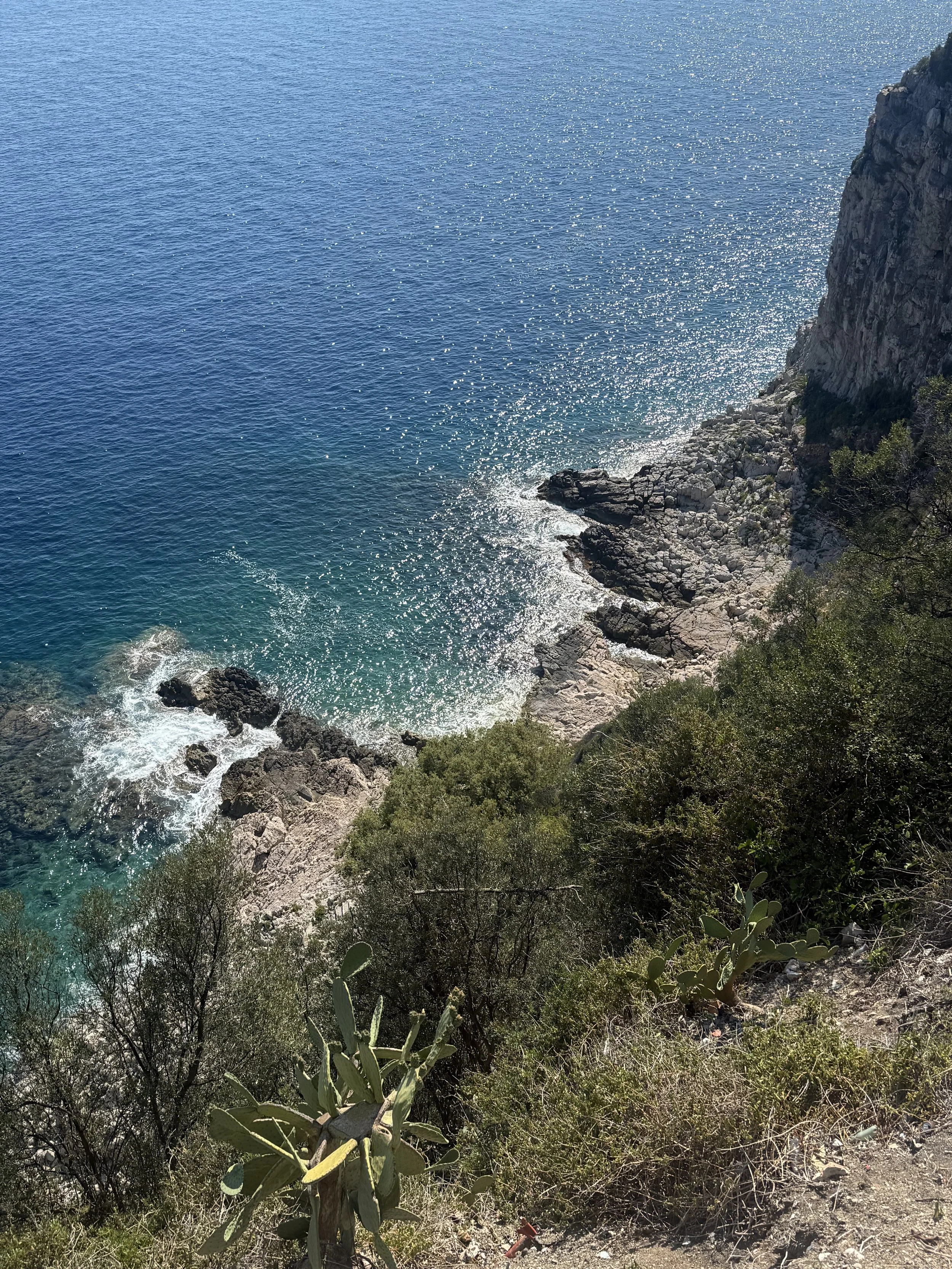 Coastal scene with turquoise water, rocky shore, green shrubs, cacti, and a steep cliff on the right.