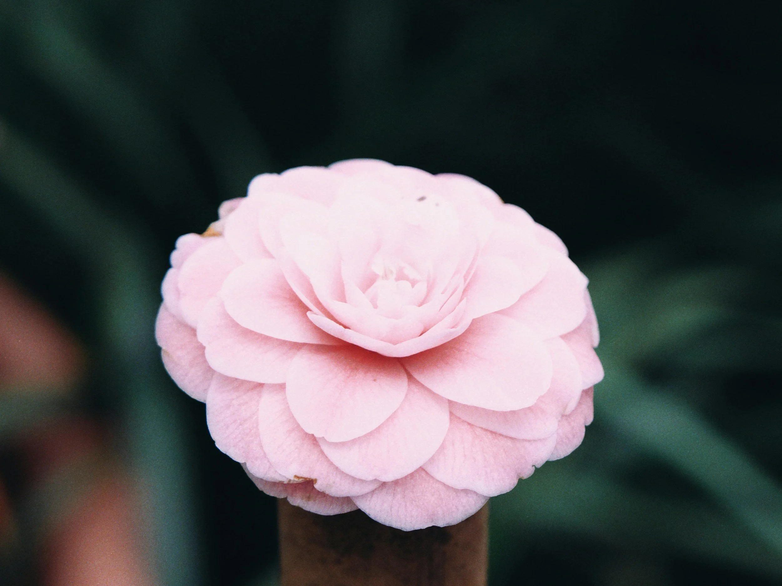 Letting go of Perfectionism