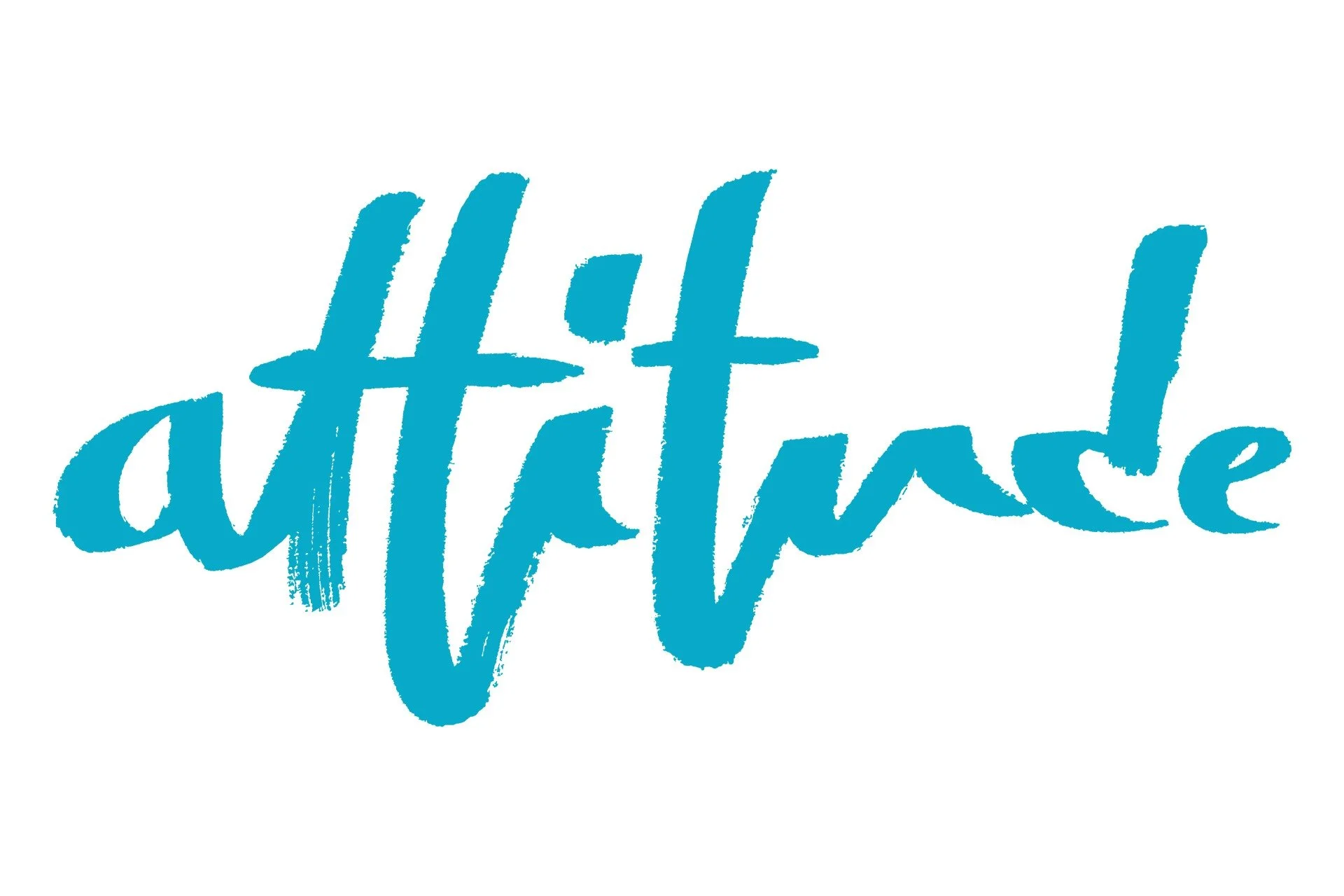 Blue handwritten-style script that reads 'little wash'.