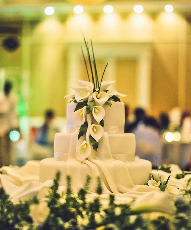 mauritius-beach-wedding-photographer-bride-groom-wedding-cake.jpeg