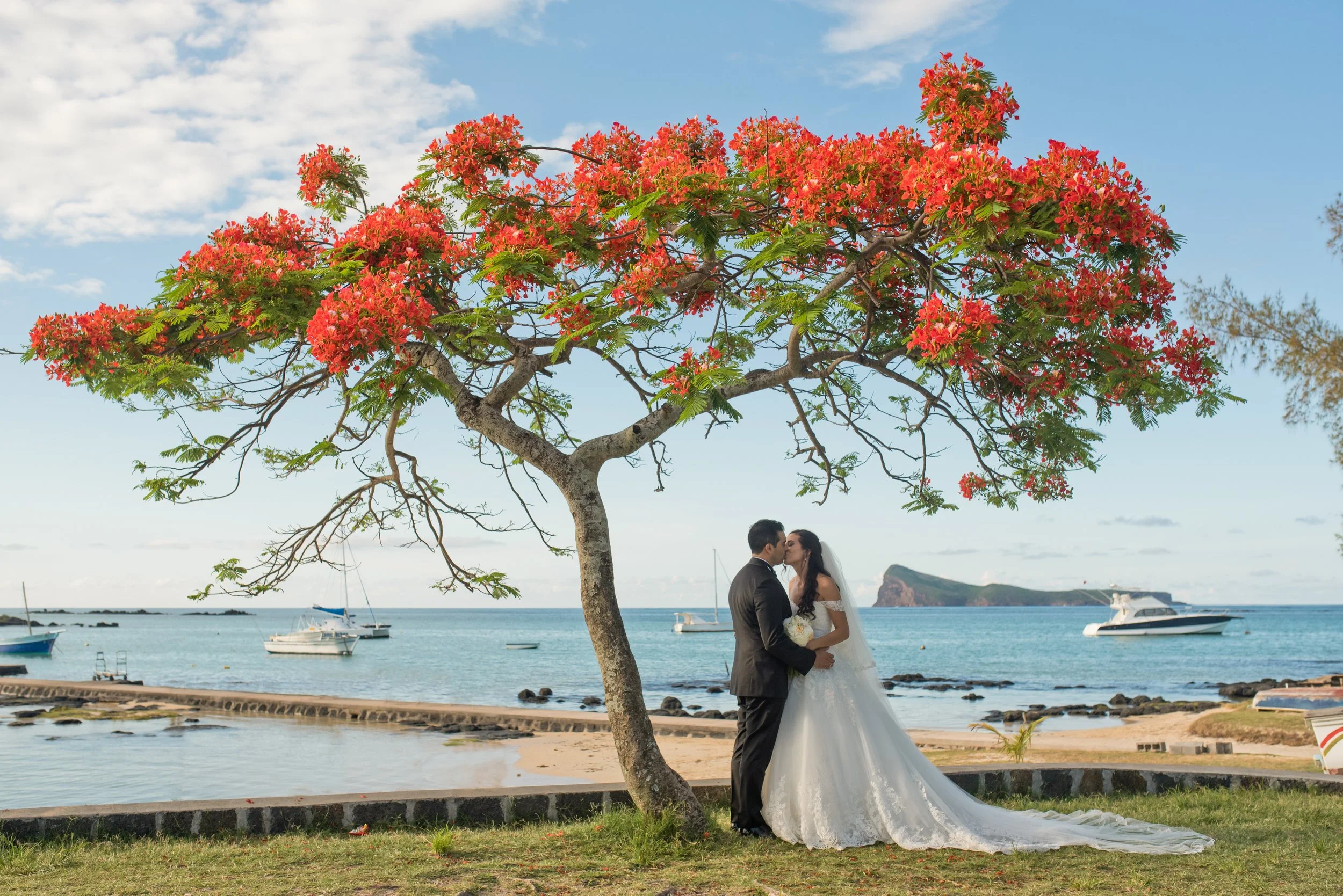 mauritius-beach-wedding-photographer-bride-groom-flamboyant-tree.jpg