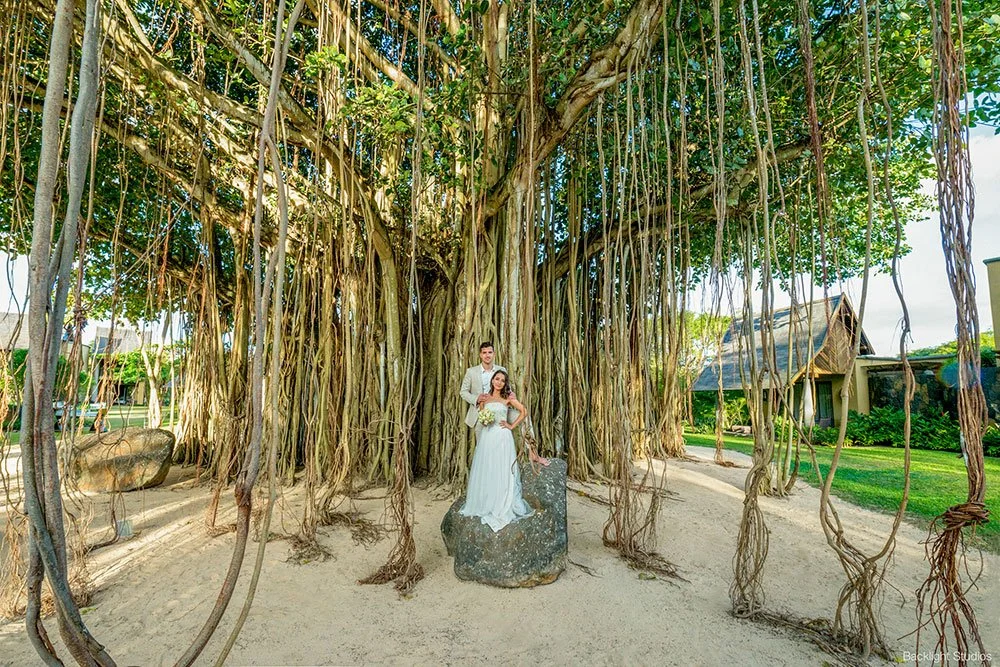 mauritius-beach-wedding-photographer-bride-groom-trees.jpeg