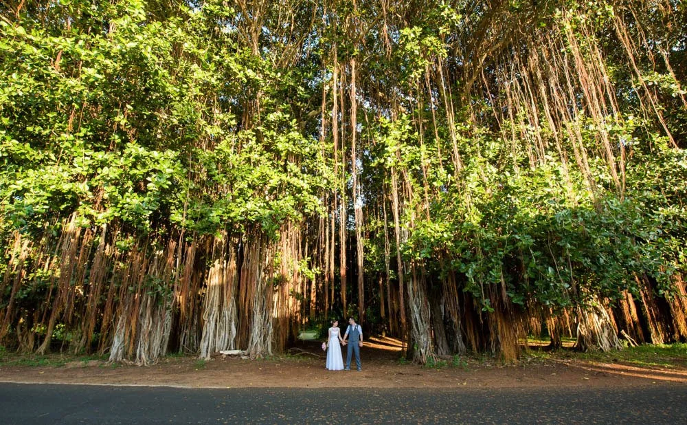 mauritius-beach-wedding-photographer-bride-groom-pose-trees-banyan.jpeg