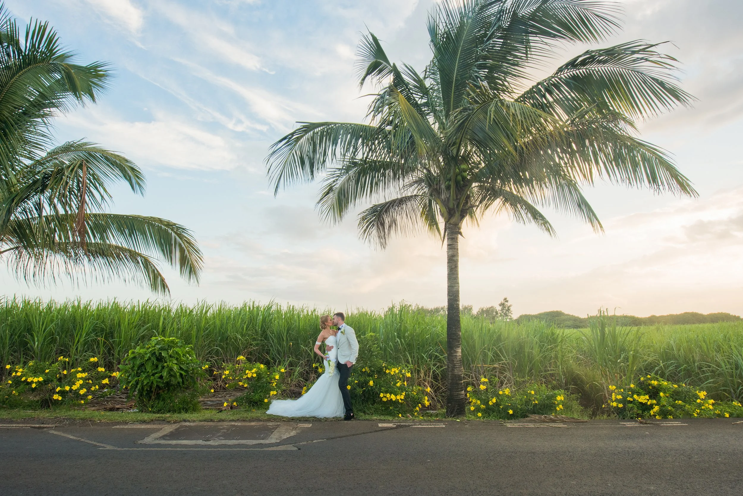 mauritius-wedding-photographer-bride-groom-sugarcane-fields.jpg