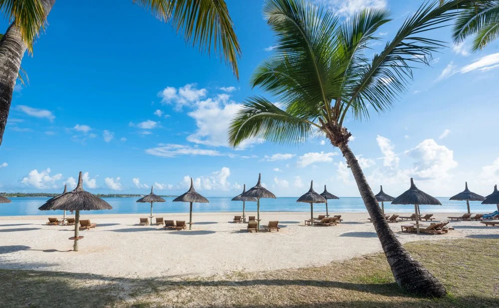 Mauritius-island-best-commercial-lifestyle-advertising-brand-photographer-photography-palm-trees.jpeg