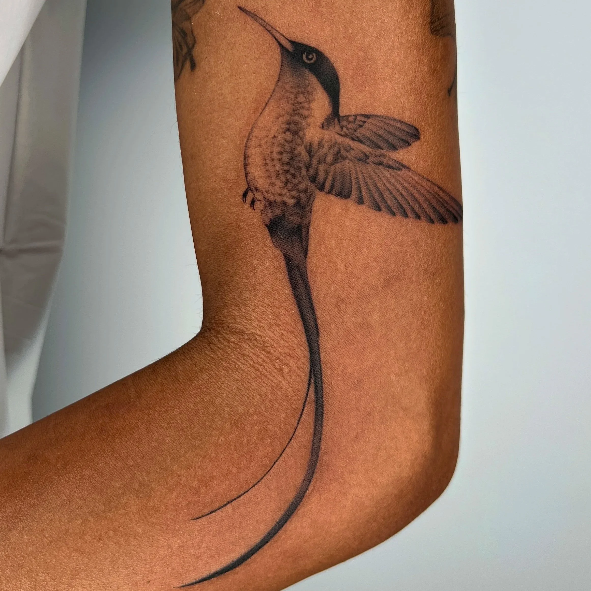 Tattoo of a hummingbird with detailed wings on a person's arm.